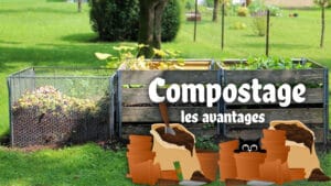Avantages du compostage